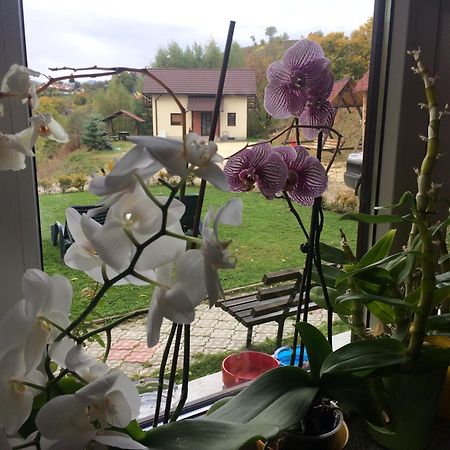 Cabana 7 Brazi Poiana Mărului Extérieur photo