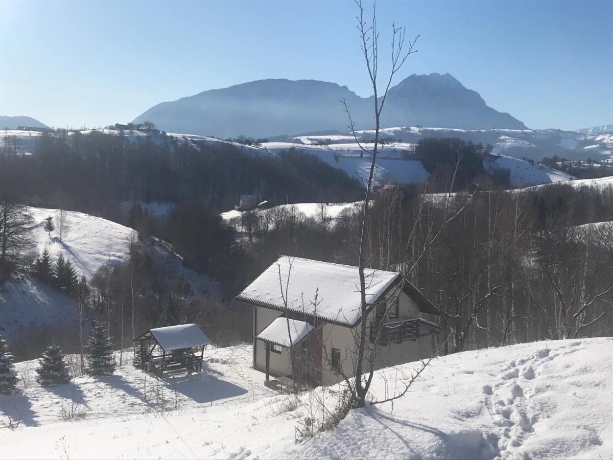 Cabana 7 Brazi Poiana Mărului Extérieur photo