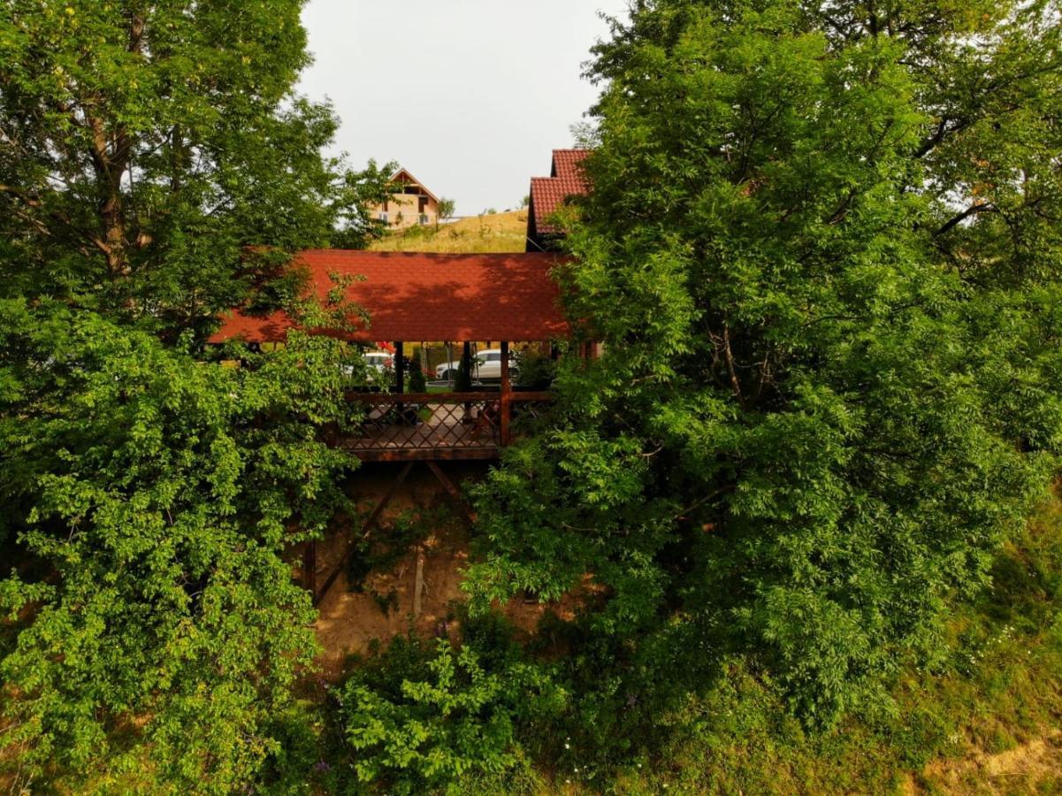 Cabana 7 Brazi Poiana Mărului Extérieur photo
