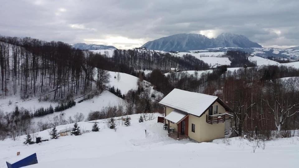 Cabana 7 Brazi Poiana Mărului Extérieur photo
