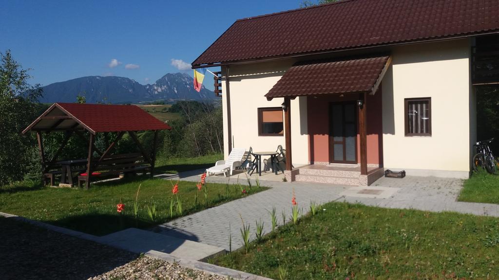 Cabana 7 Brazi Poiana Mărului Extérieur photo