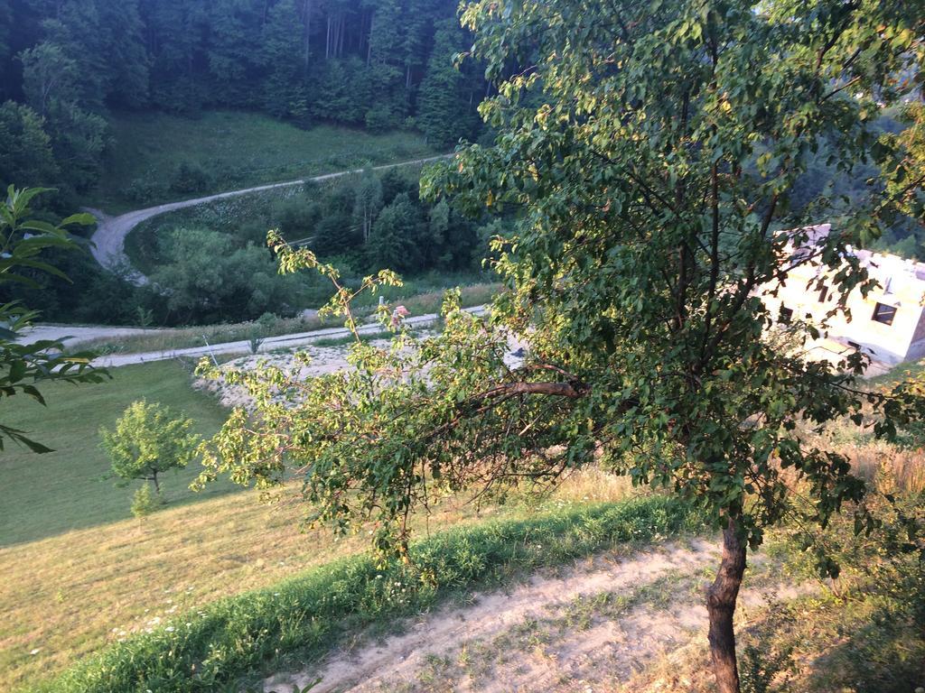 Cabana 7 Brazi Poiana Mărului Extérieur photo
