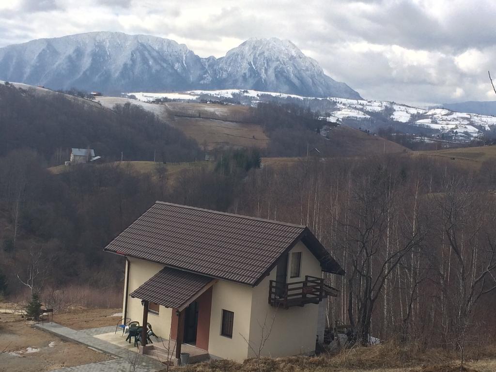 Cabana 7 Brazi Poiana Mărului Extérieur photo