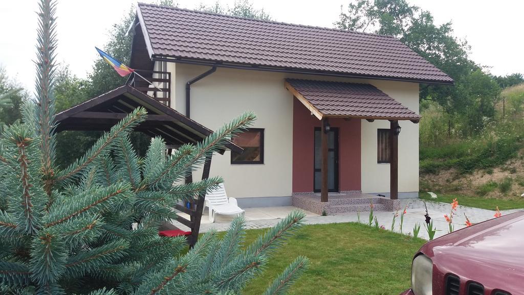 Cabana 7 Brazi Poiana Mărului Extérieur photo