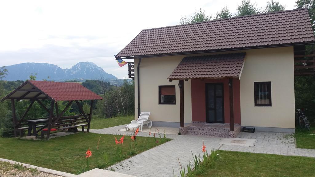 Cabana 7 Brazi Poiana Mărului Extérieur photo