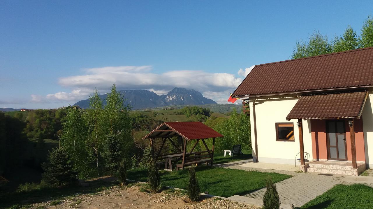Cabana 7 Brazi Poiana Mărului Extérieur photo