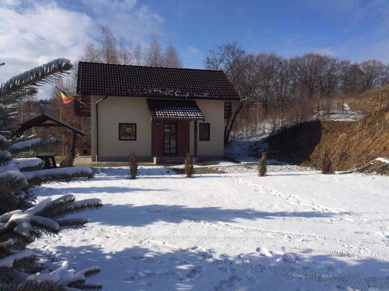 Cabana 7 Brazi Poiana Mărului Extérieur photo