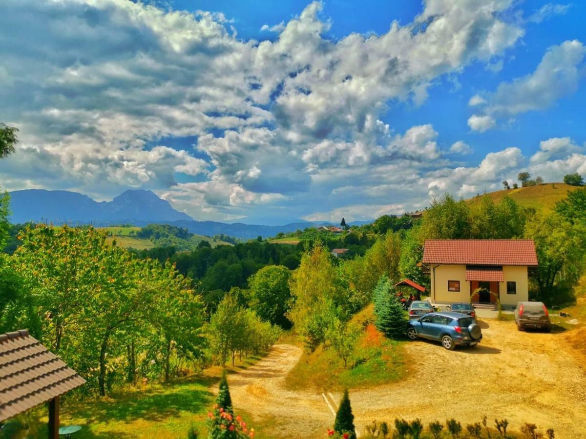 Cabana 7 Brazi Poiana Mărului Extérieur photo